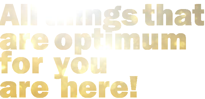 大阪国際商務株式会社